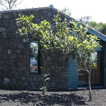 O Farrobo * מדלנה