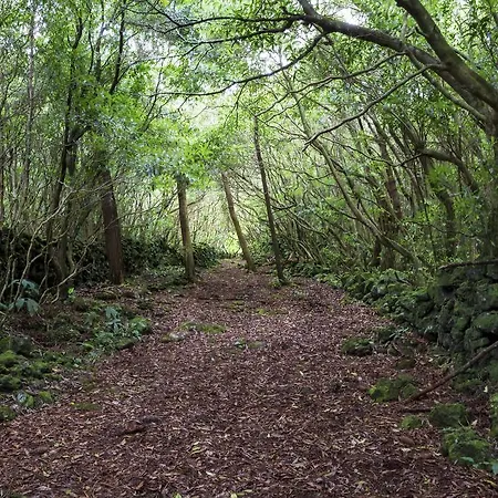 度假居 O Farrobo *