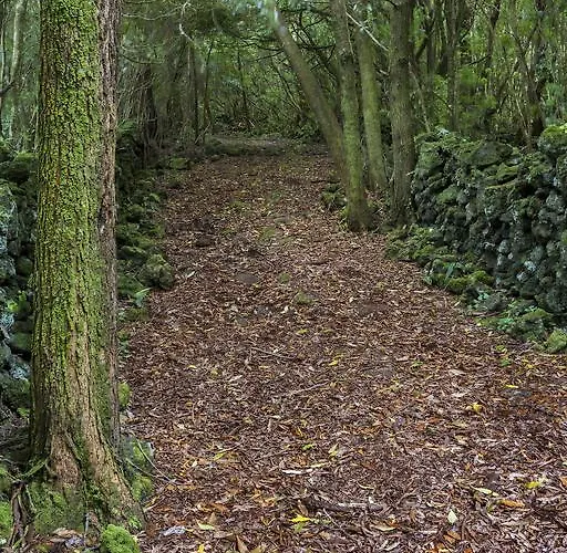 Nyaraló O Farrobo *