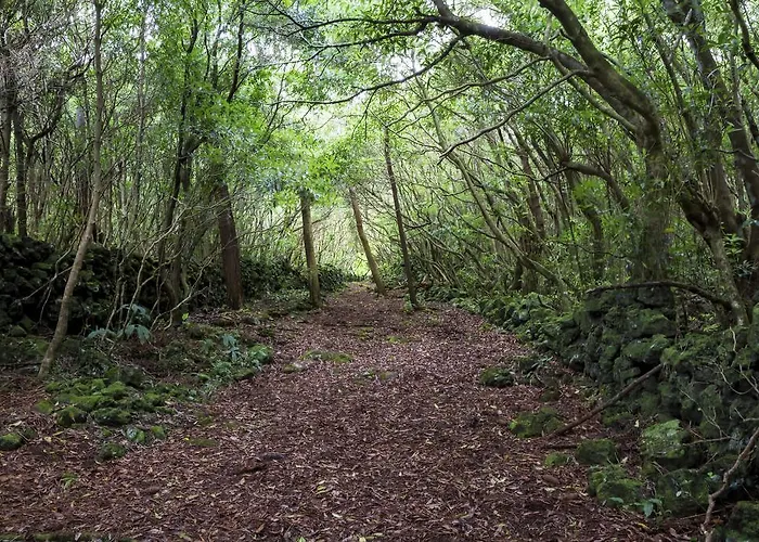 Nyaraló O Farrobo *